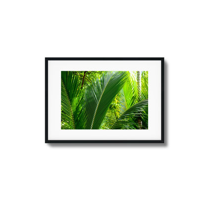 Tropical Palms Close-Up Framed Art