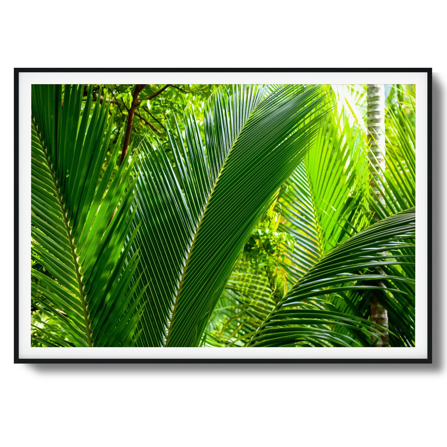 Tropical Palms Close-Up Framed Art