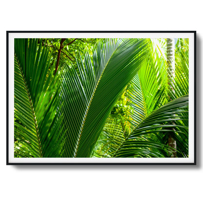 Tropical Palms Close-Up Framed Art