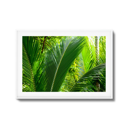 Tropical Palms Close-Up Framed Art