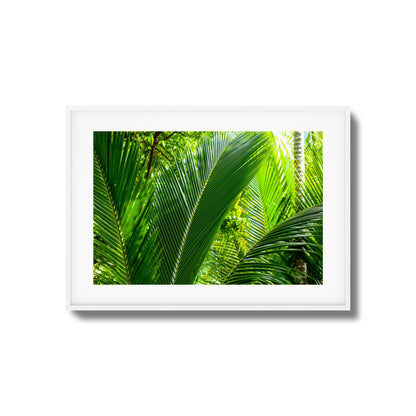 Tropical Palms Close-Up Framed Art