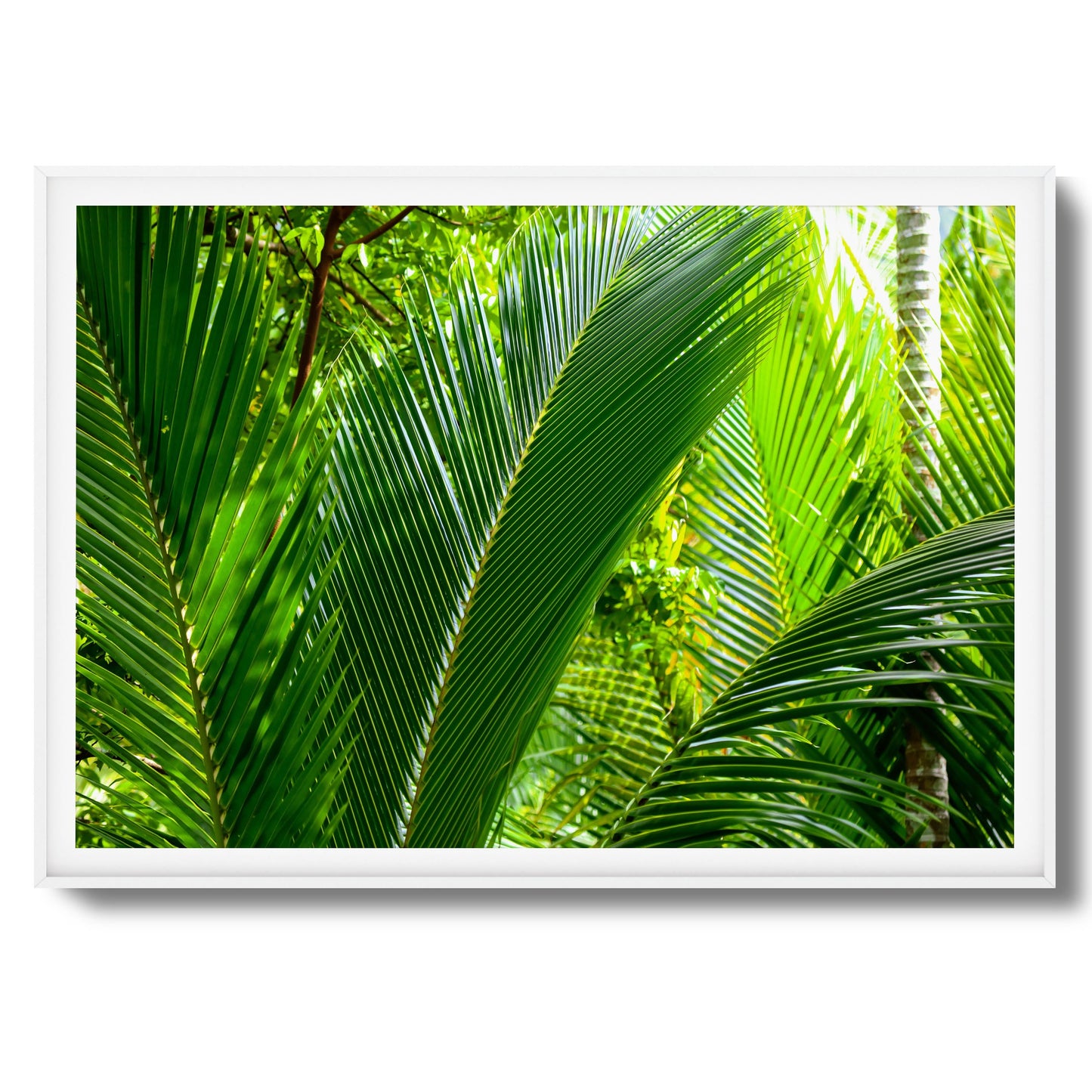 Tropical Palms Close-Up Framed Art