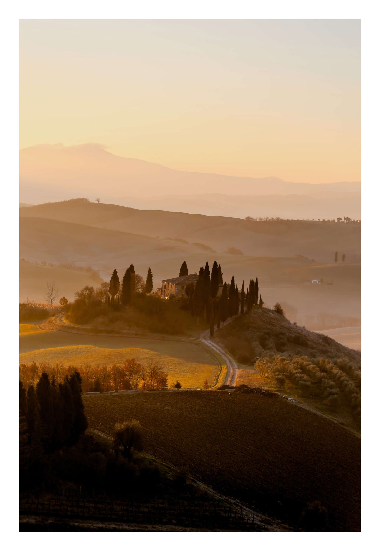 Tuscan Glow Framed Art