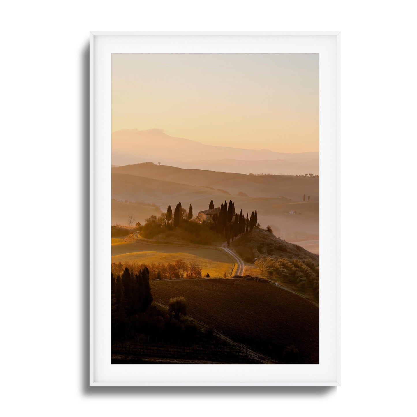 Tuscan Glow Framed Art