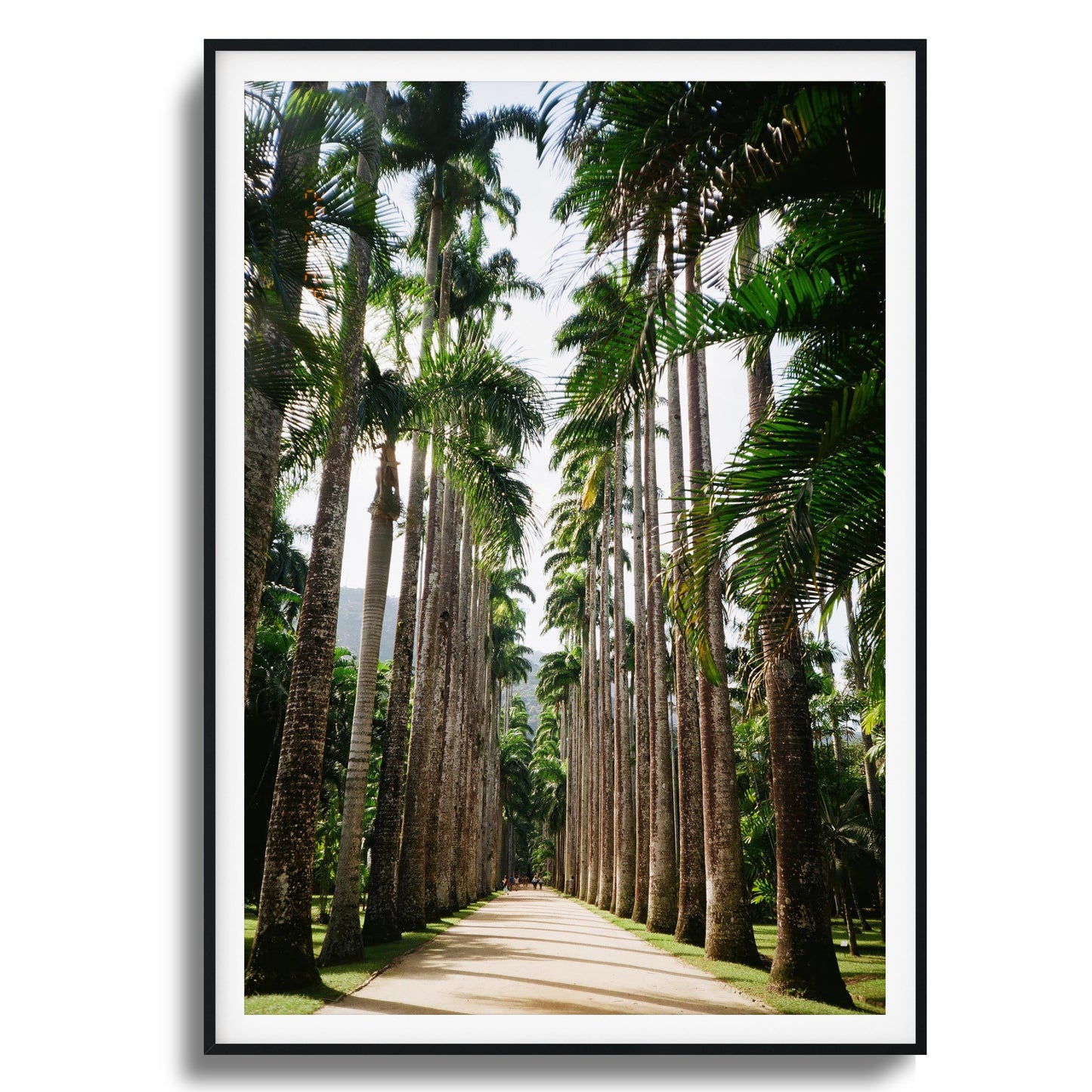 Verdant Escape Framed Art