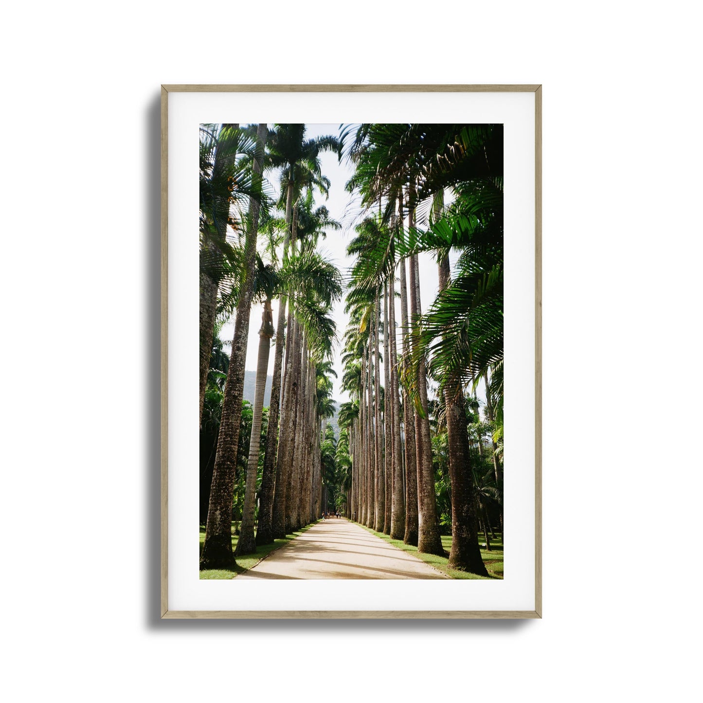 Verdant Escape Framed Art