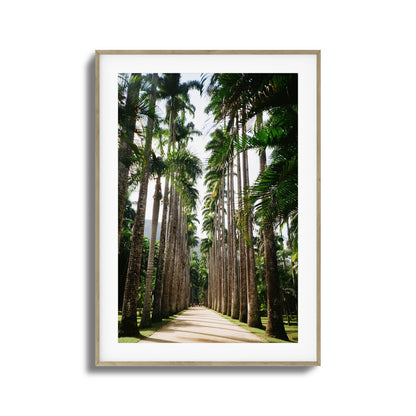 Verdant Escape Framed Art