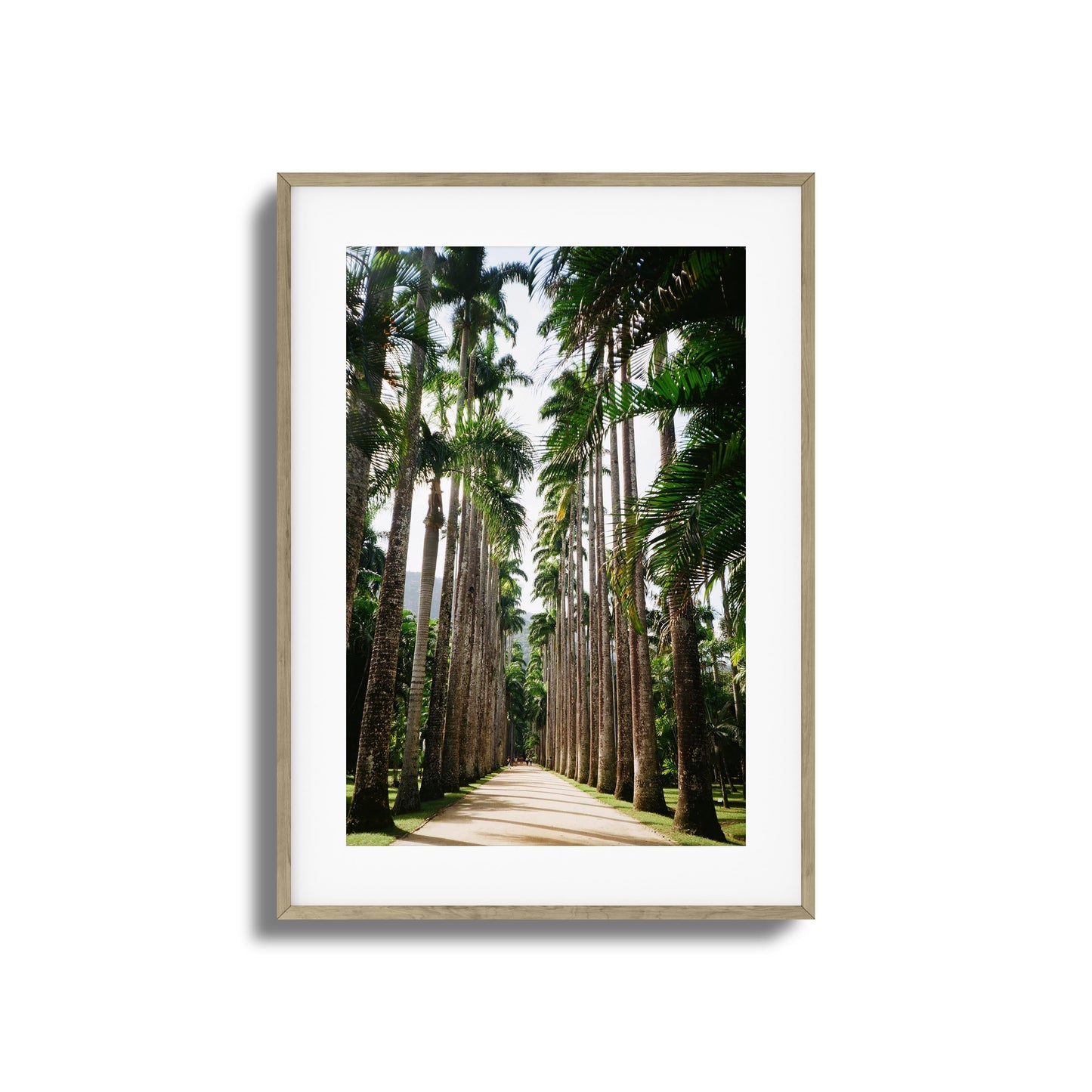 Verdant Escape Framed Art