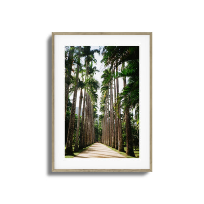 Verdant Escape Framed Art