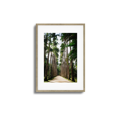 Verdant Escape Framed Art