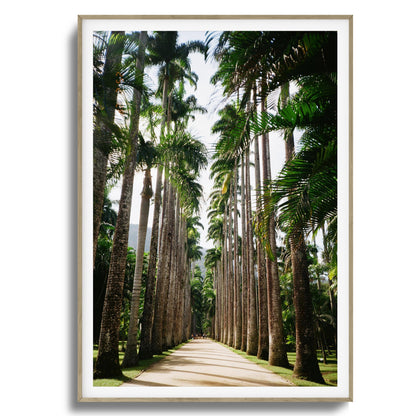 Verdant Escape Framed Art