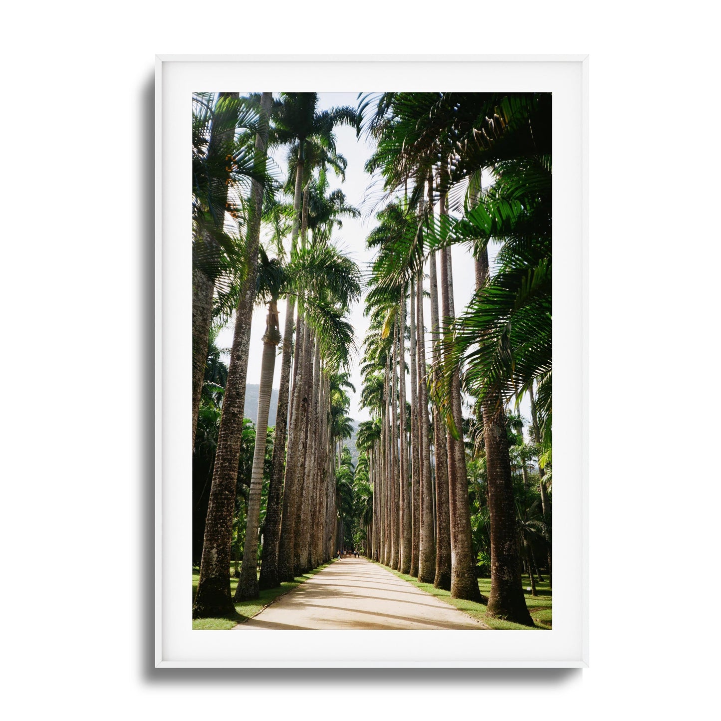 Verdant Escape Framed Art