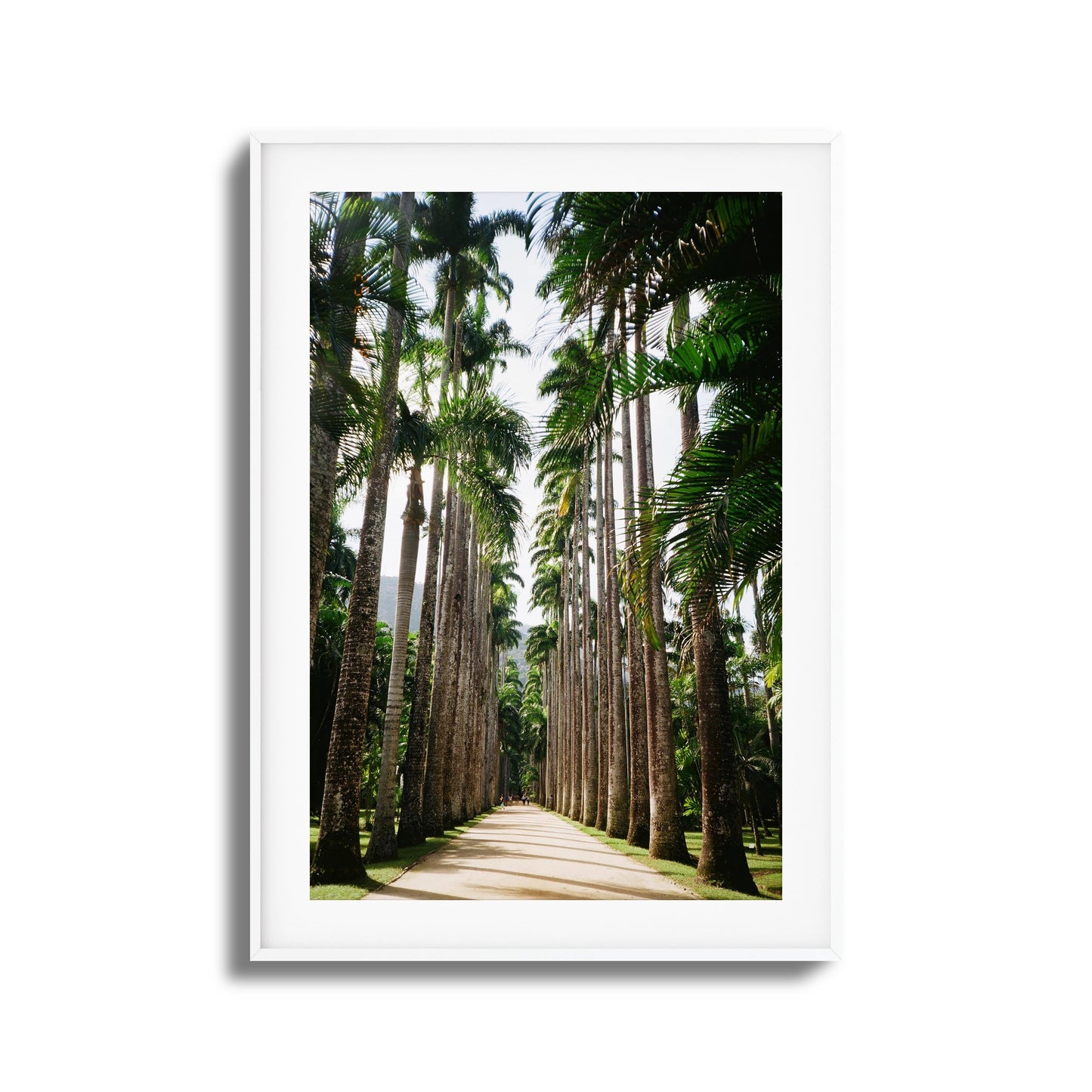 Verdant Escape Framed Art