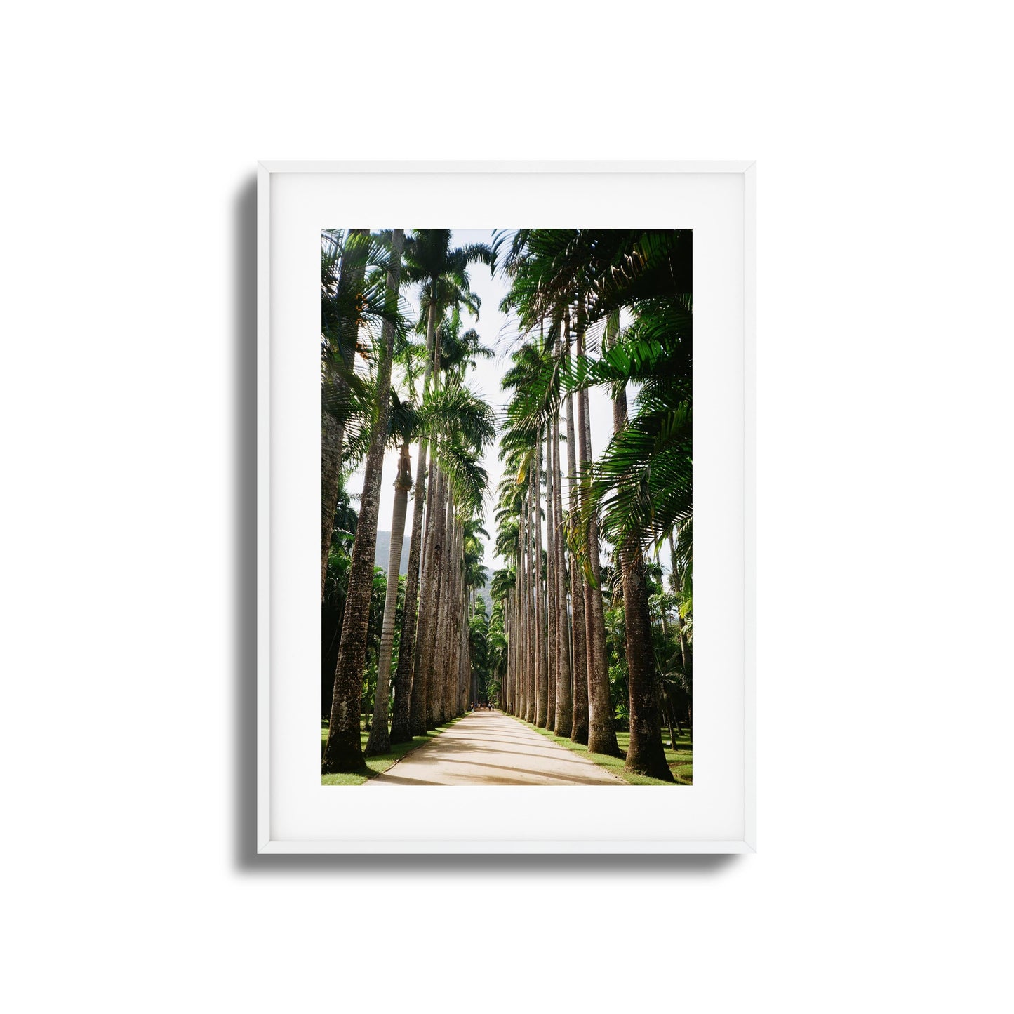 Verdant Escape Framed Art