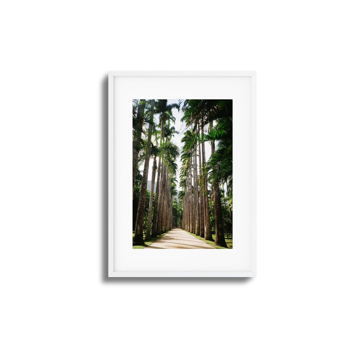 Verdant Escape Framed Art