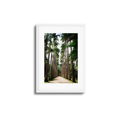 Verdant Escape Framed Art