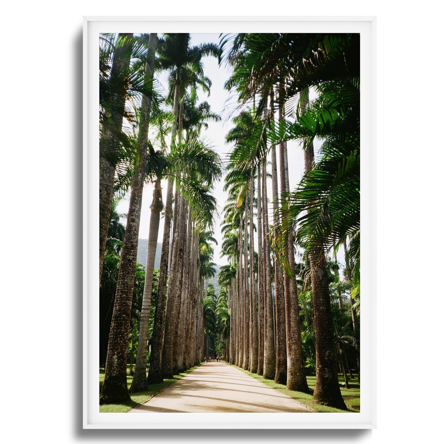 Verdant Escape Framed Art