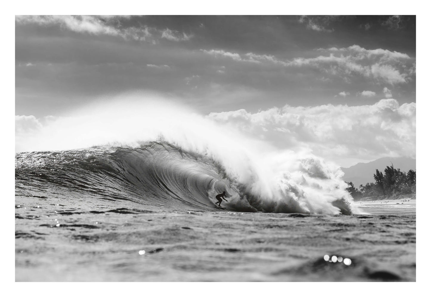 Wave Rider Framed Art