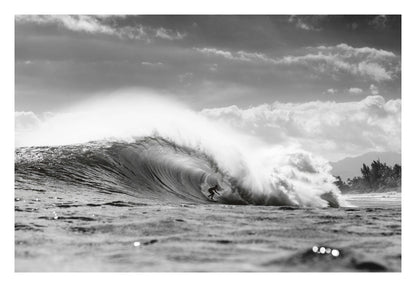 Wave Rider Framed Art