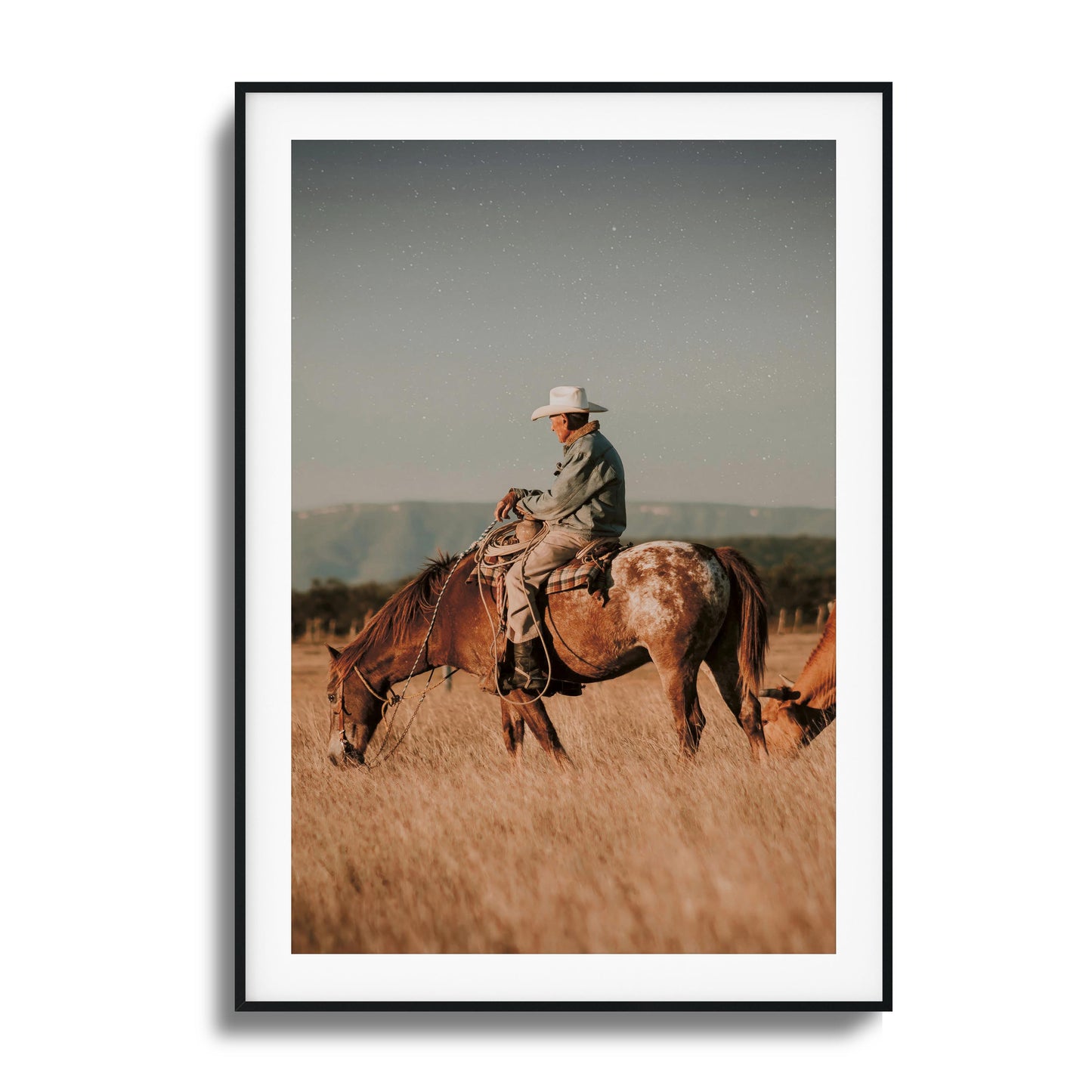 Western Tranquility Framed Art