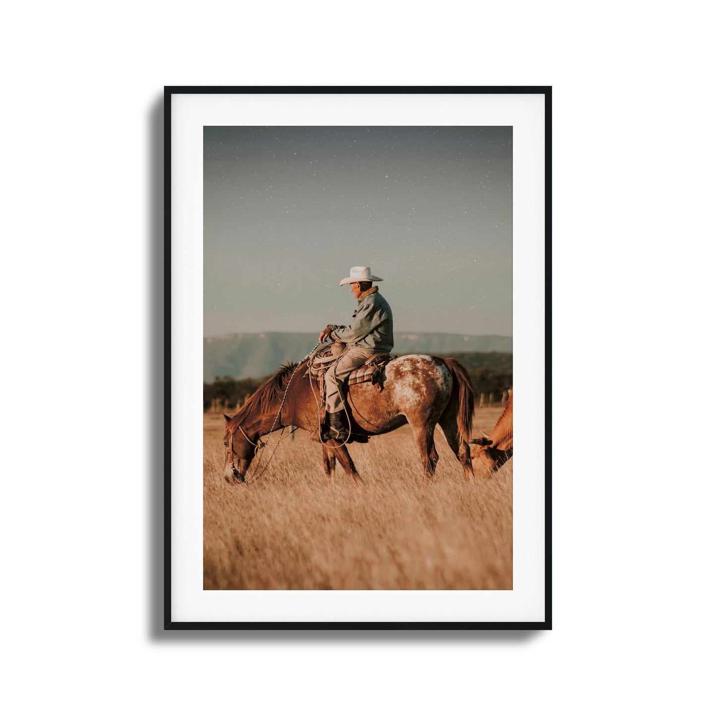 Western Tranquility Framed Art