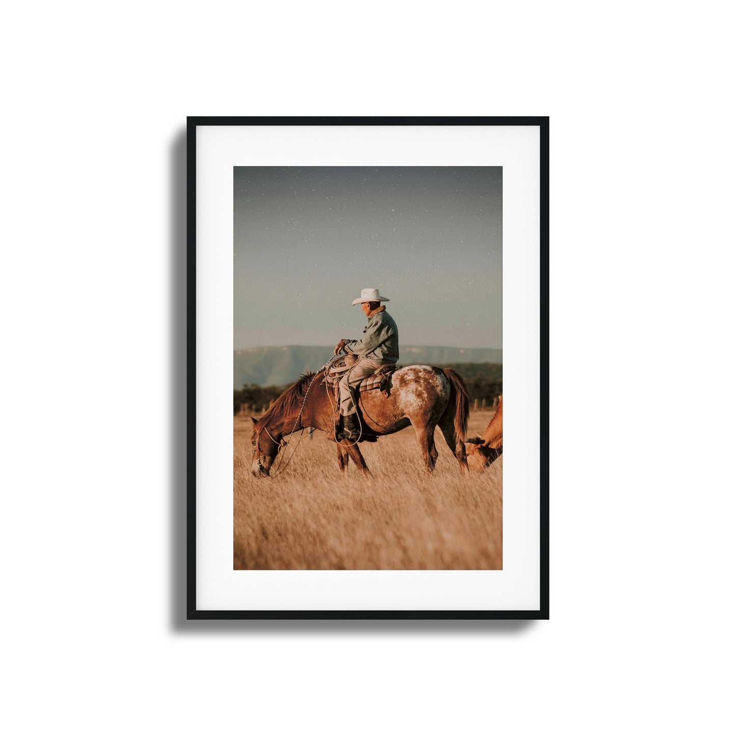 Western Tranquility Framed Art