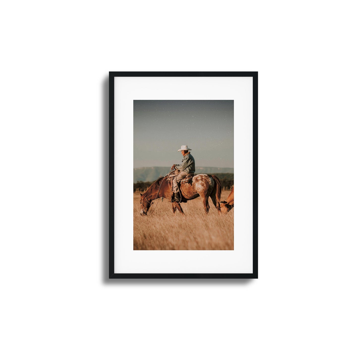 Western Tranquility Framed Art