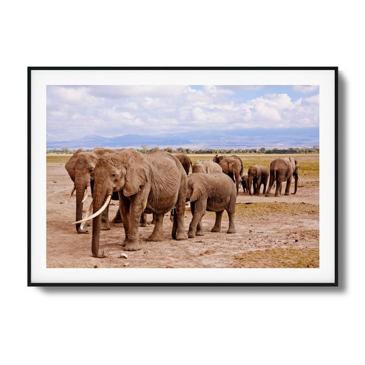 Elephants roaming the savannah under a bright sky