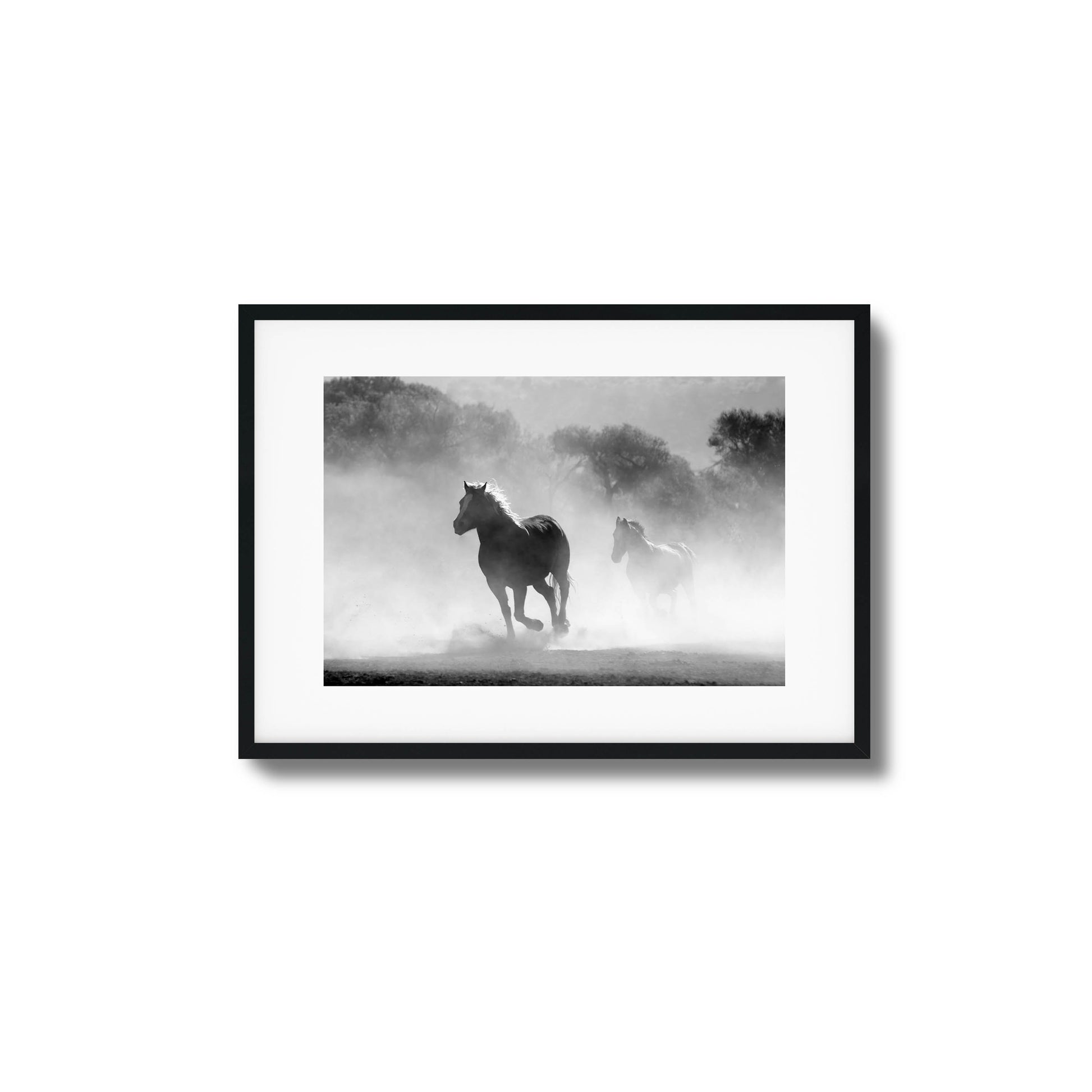 Black-and-white photo of horses running in the mist.