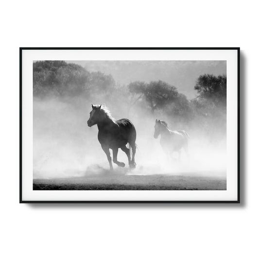 Black-and-white photo of horses running in the mist.