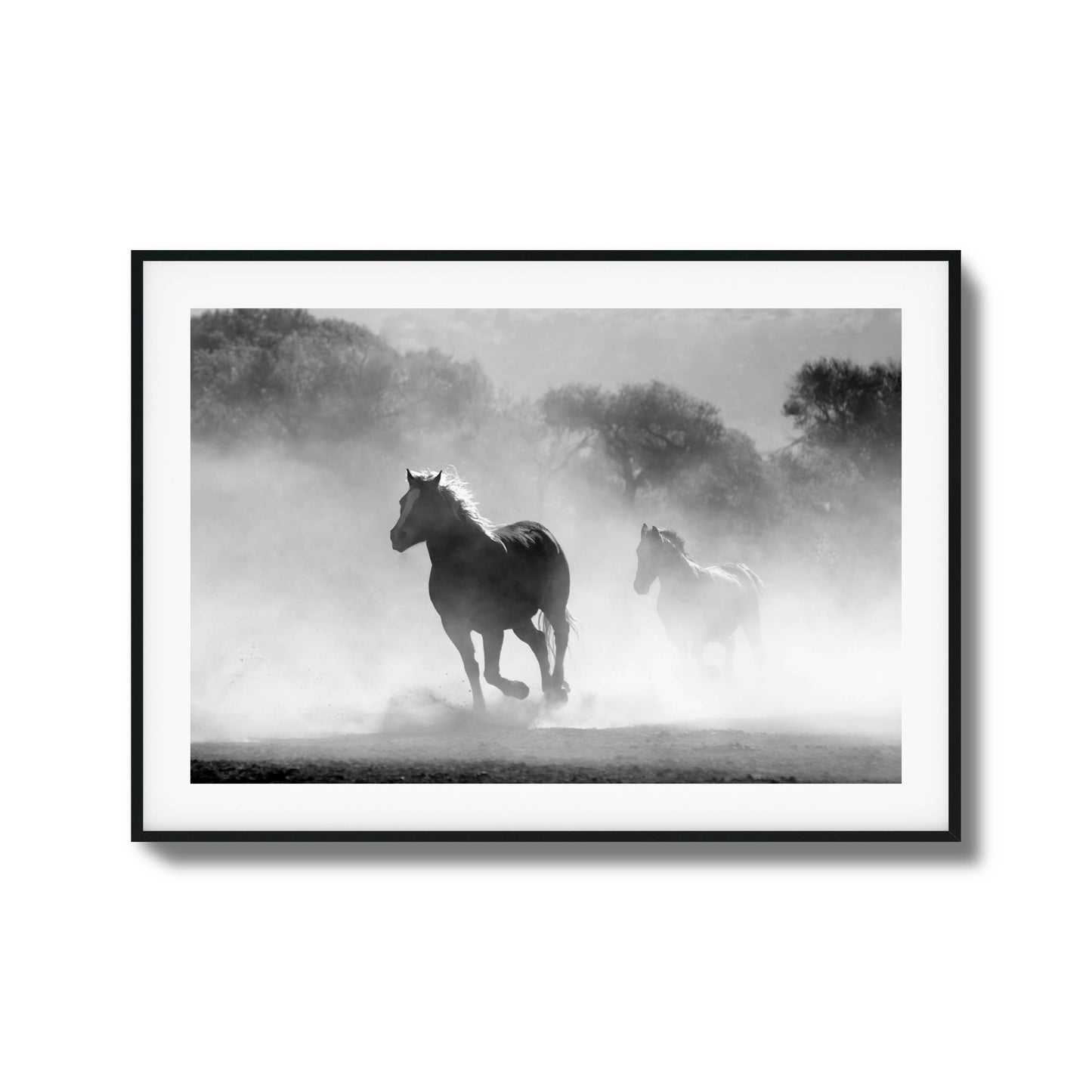 Black-and-white photo of horses running in the mist.