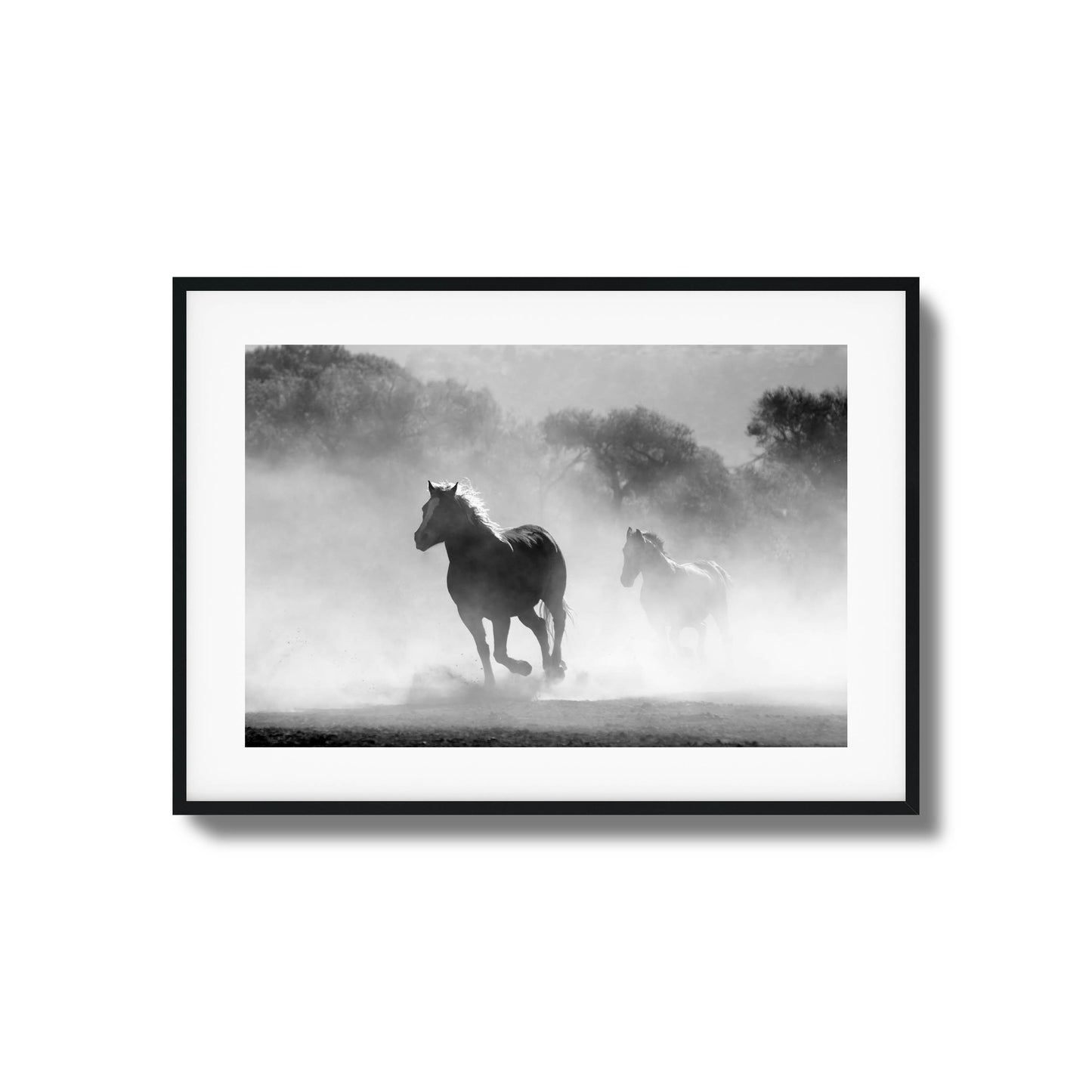 Black-and-white photo of horses running in the mist.