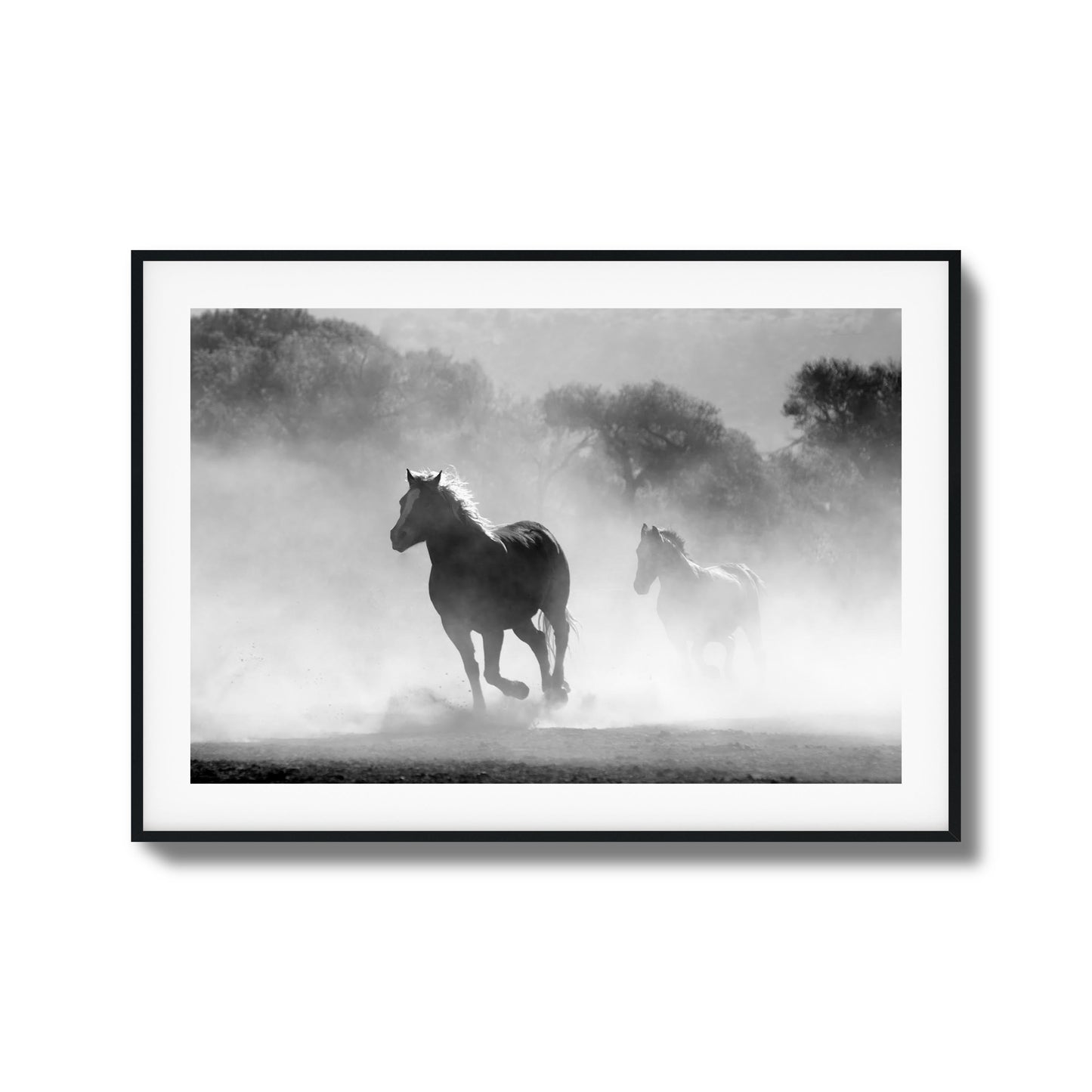 Wild Gallop Framed Art