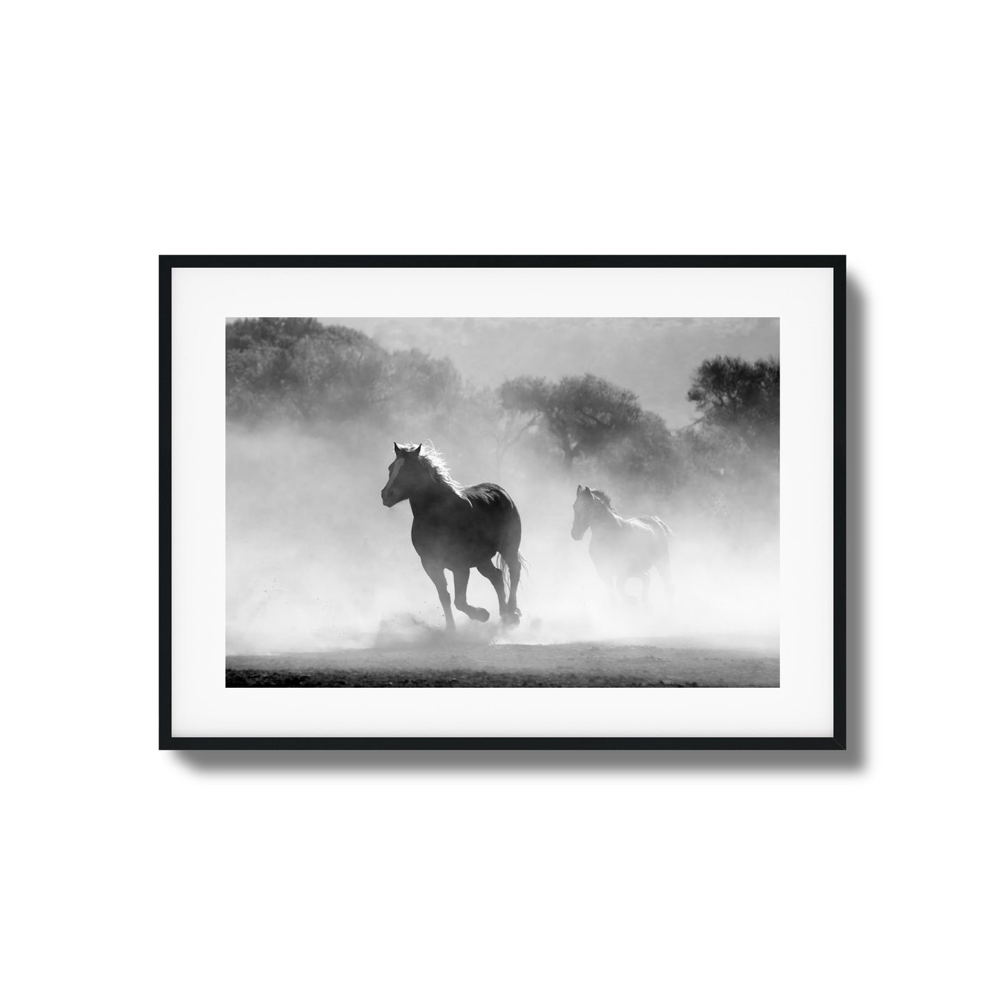 Wild Gallop Framed Art