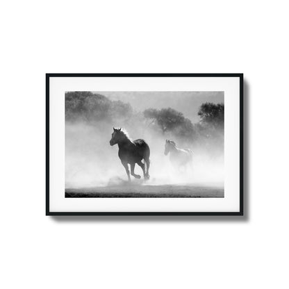 Wild Gallop Framed Art