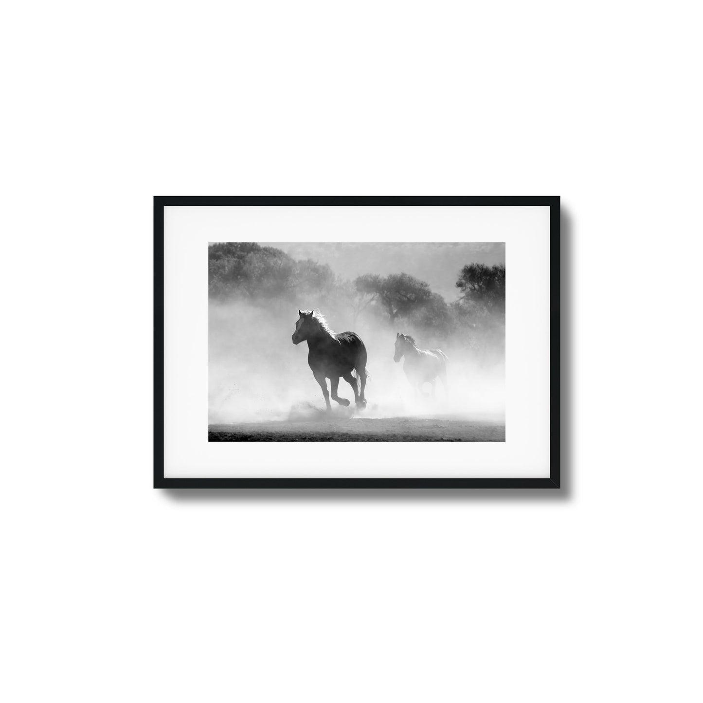 Wild Gallop Framed Art