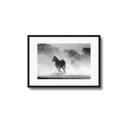 Wild Gallop Framed Art