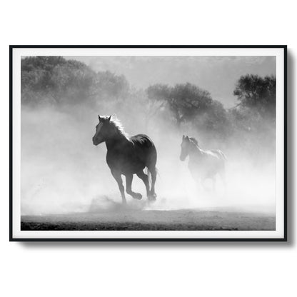 Wild Gallop Framed Art