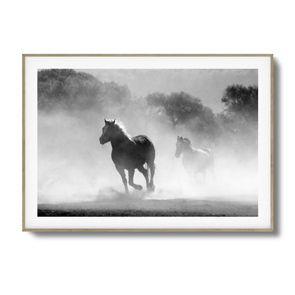 Wild Gallop Framed Art