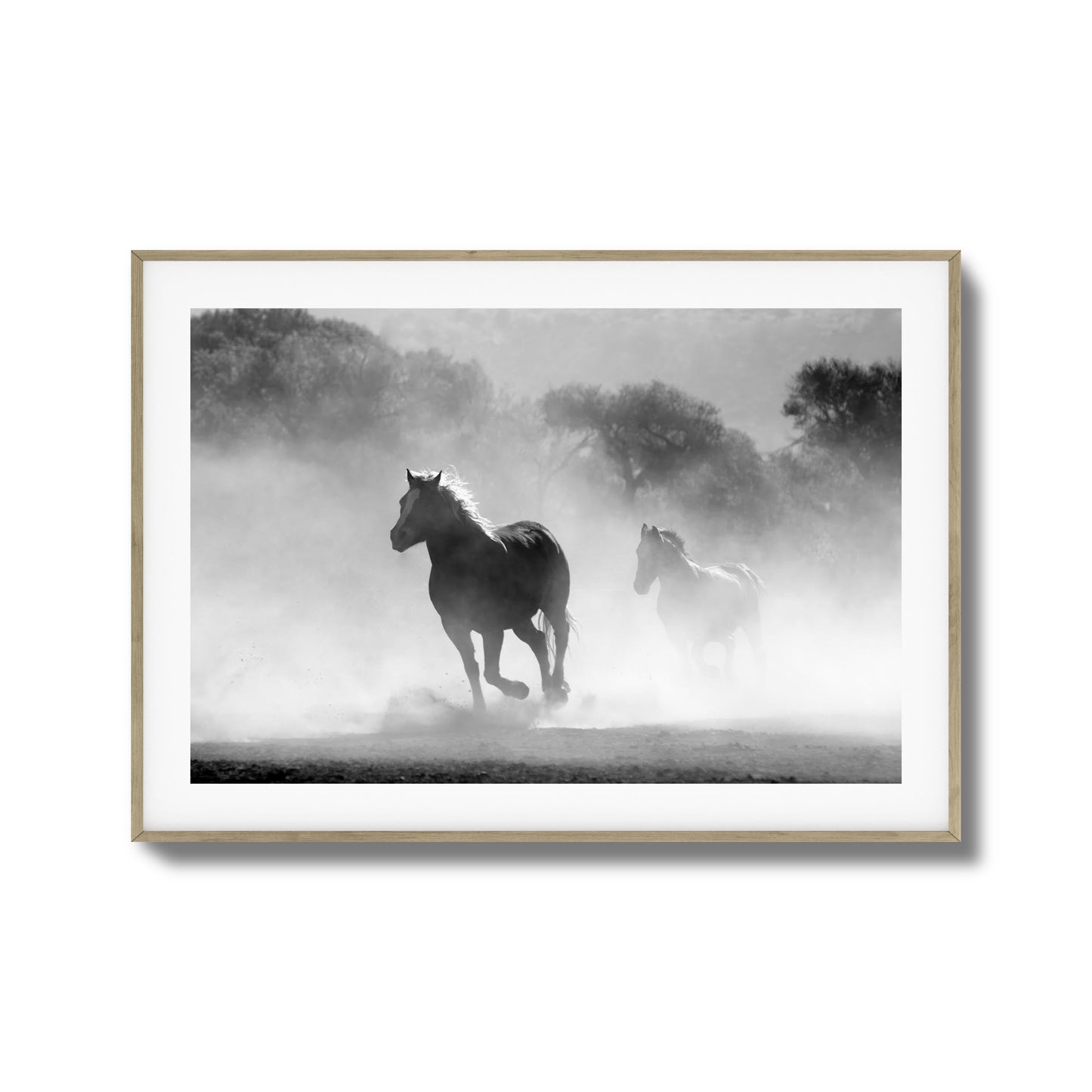 Wild Gallop Framed Art