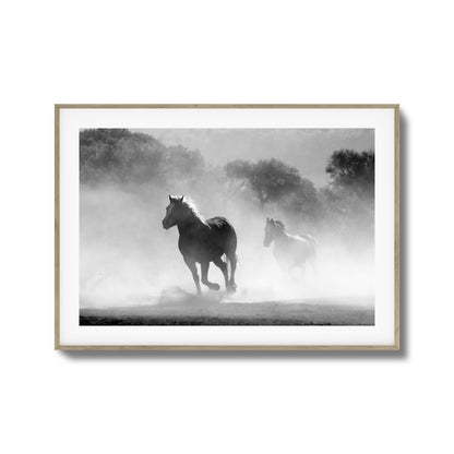 Wild Gallop Framed Art