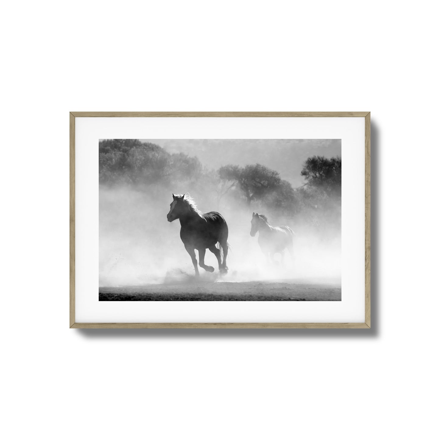 Wild Gallop Framed Art