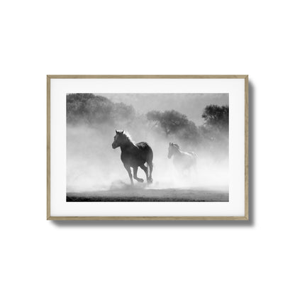 Wild Gallop Framed Art