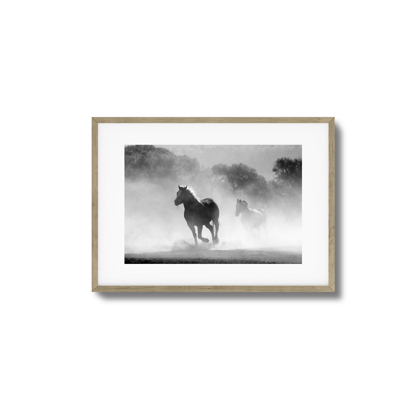 Wild Gallop Framed Art