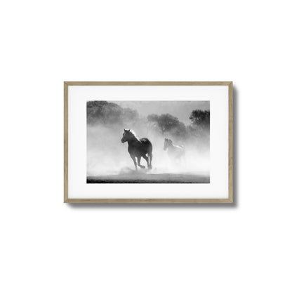 Wild Gallop Framed Art