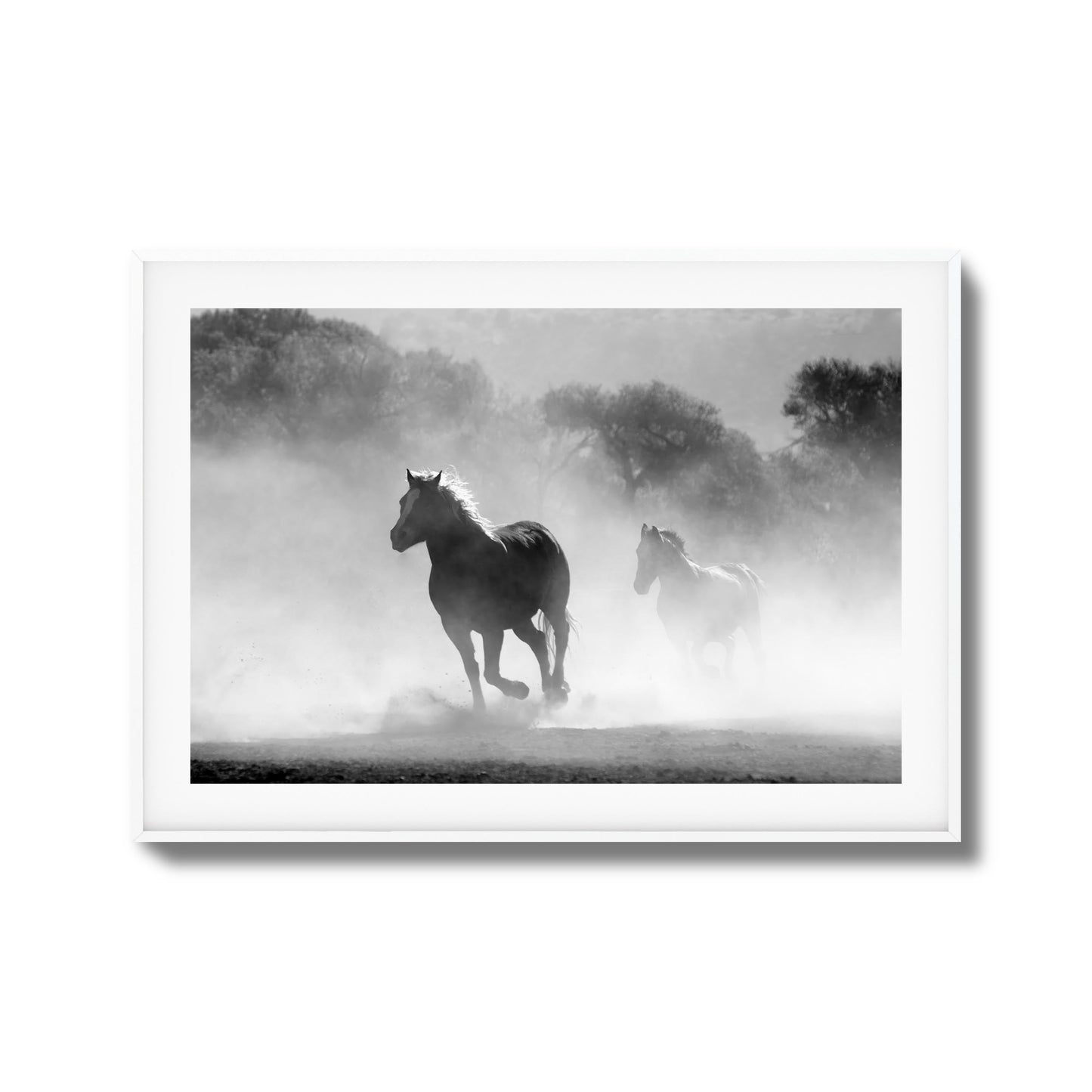 Wild Gallop Framed Art