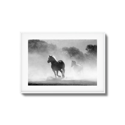 Wild Gallop Framed Art