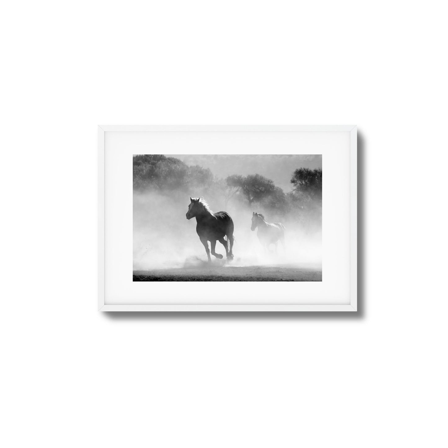 Wild Gallop Framed Art