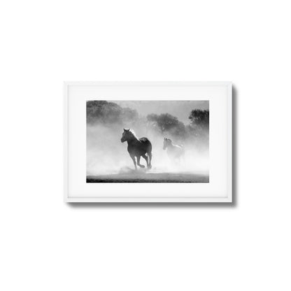 Wild Gallop Framed Art