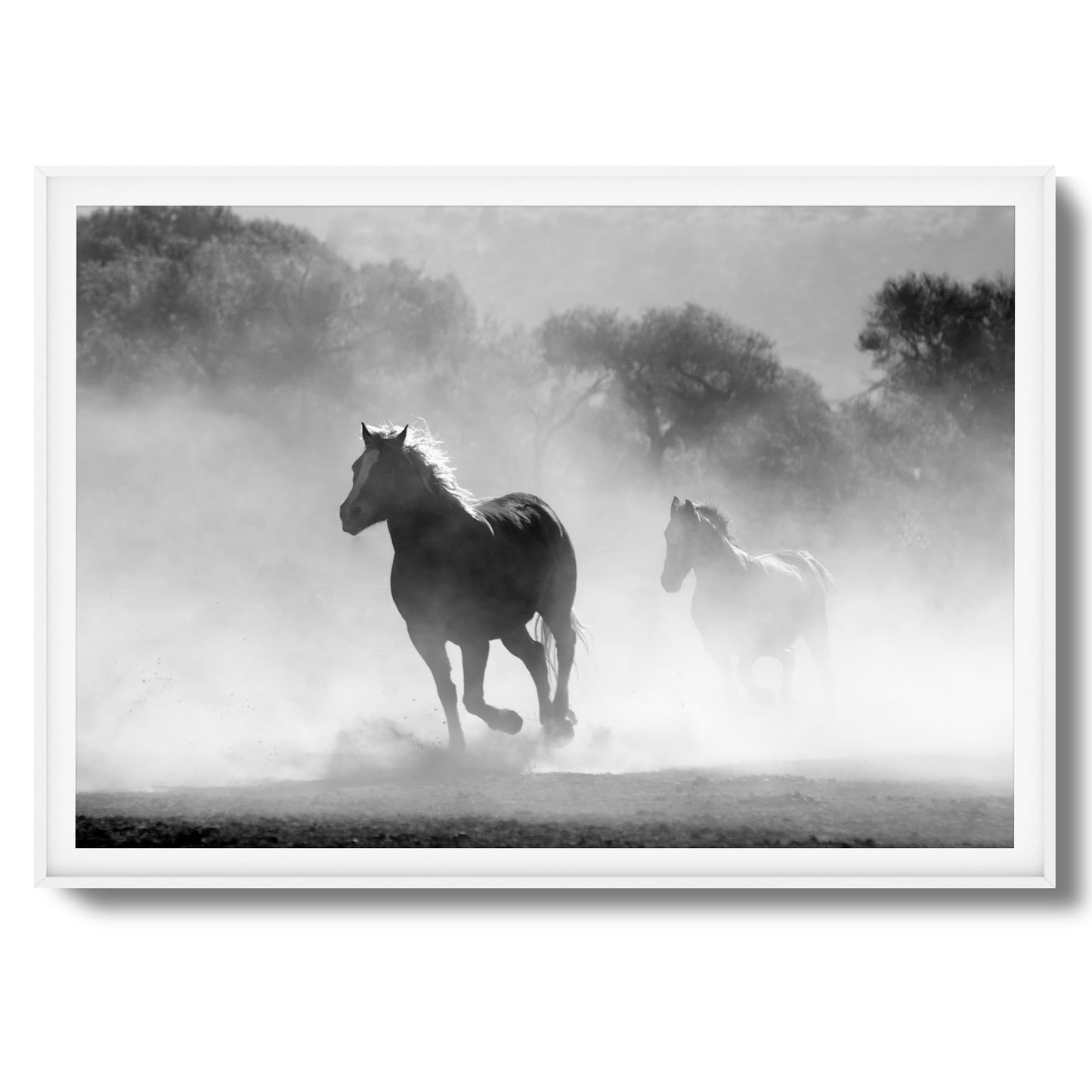 Wild Gallop Framed Art